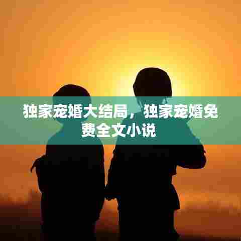 独家宠婚大结局，独家宠婚免费全文小说 