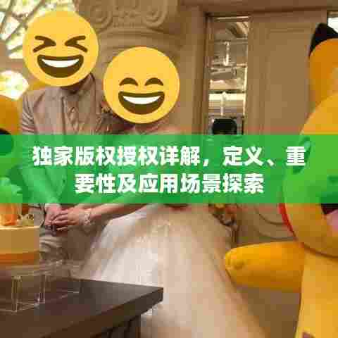 独家版权授权详解，定义、重要性及应用场景探索