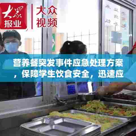 营养餐突发事件应急处理方案，保障学生饮食安全，迅速应对危机事件