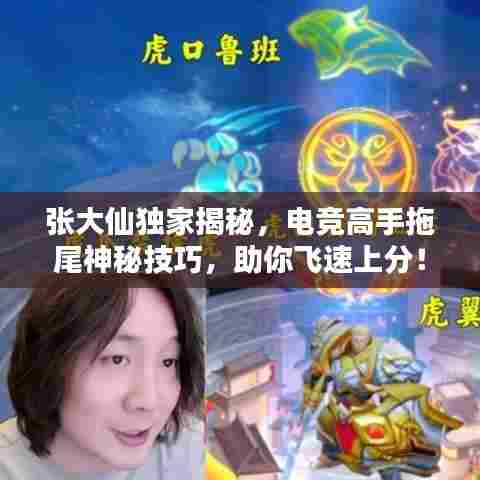 张大仙独家揭秘，电竞高手拖尾神秘技巧，助你飞速上分！