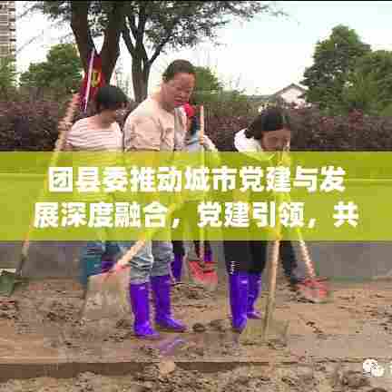 团县委推动城市党建与发展深度融合，党建引领，共筑美好城市新篇章
