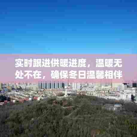 实时跟进供暖进度，温暖无处不在，确保冬日温馨相伴