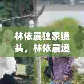 贵人善忘 第7页