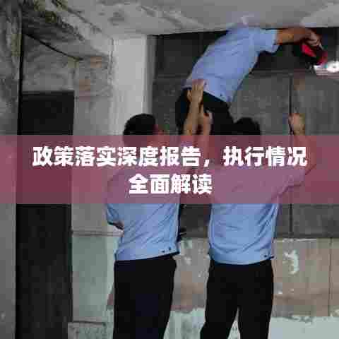 政策落实深度报告，执行情况全面解读