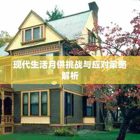 现代生活月供挑战与应对策略解析