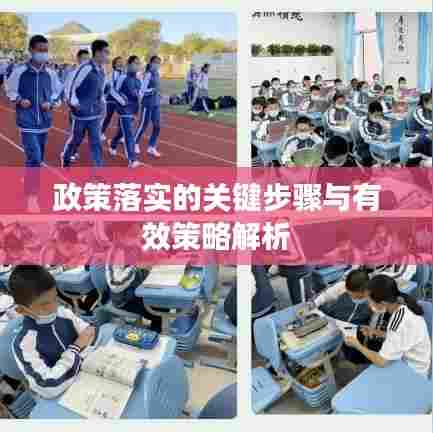 政策落实的关键步骤与有效策略解析