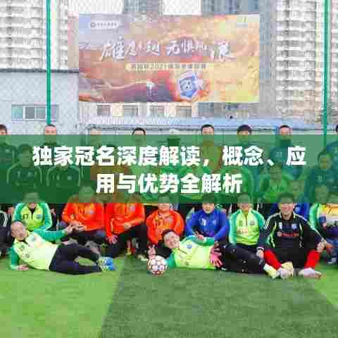 独家冠名深度解读，概念、应用与优势全解析