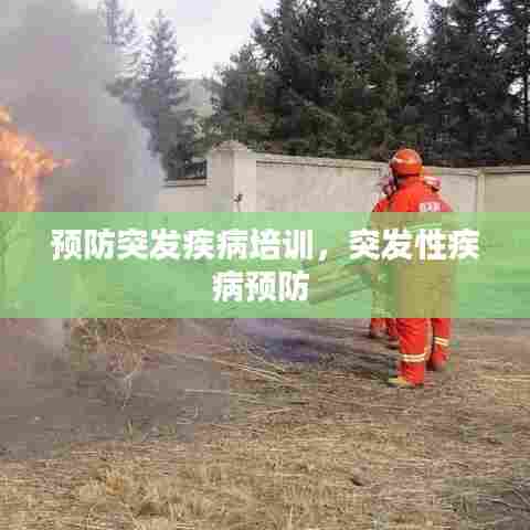 预防突发疾病培训，突发性疾病预防 