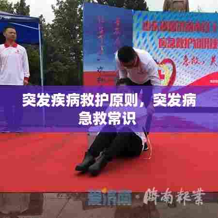 眼张失道 第7页