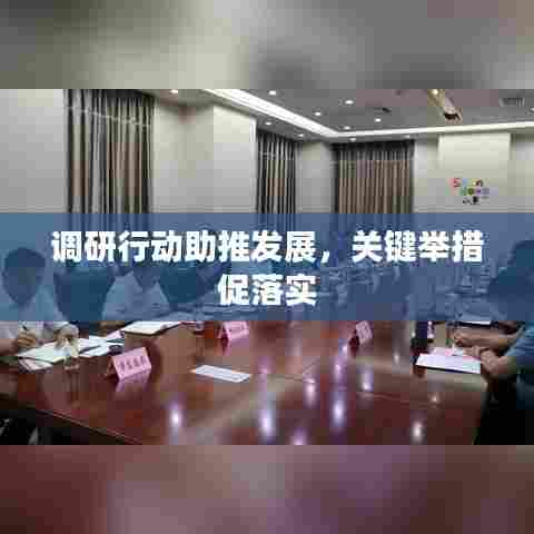 调研行动助推发展，关键举措促落实