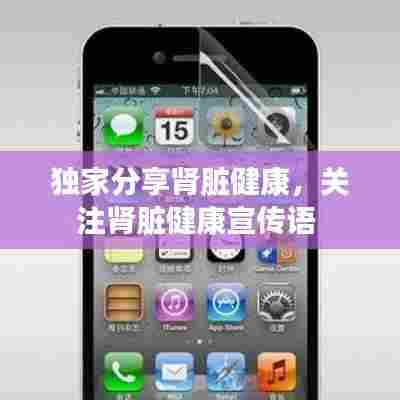 独家分享肾脏健康，关注肾脏健康宣传语 