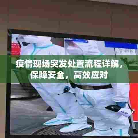 疫情现场突发处置流程详解，保障安全，高效应对