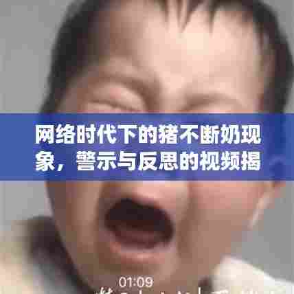 网络时代下的猪不断奶现象，警示与反思的视频揭秘