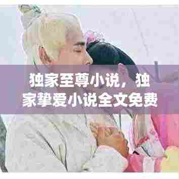 独家至尊小说，独家挚爱小说全文免费阅读 