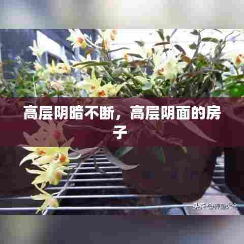 高层阴暗不断，高层阴面的房子 