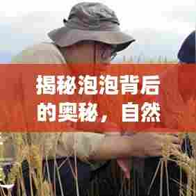 揭秘泡泡背后的奥秘，自然与人文的奇妙交织