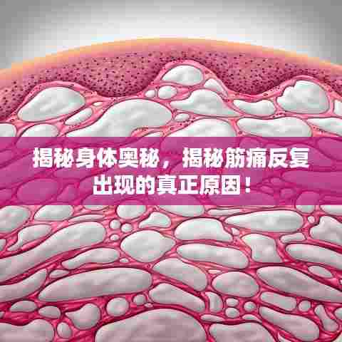 揭秘身体奥秘，揭秘筋痛反复出现的真正原因！