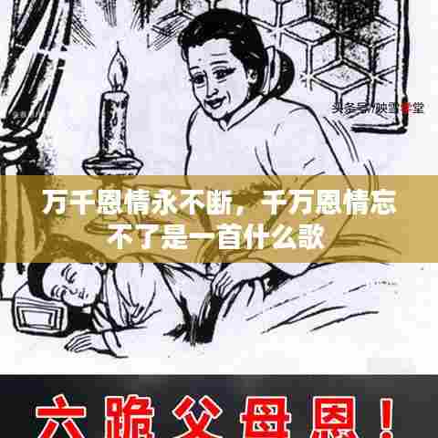 万千恩情永不断，千万恩情忘不了是一首什么歌 