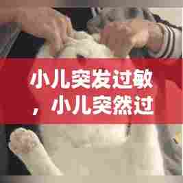 小儿突发过敏，小儿突然过敏 