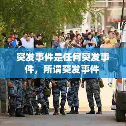 突发事件是任何突发事件，所谓突发事件 