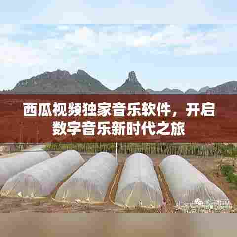 指手画脚 第7页