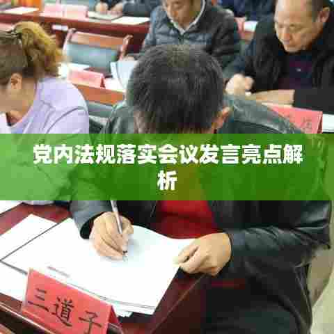 党内法规落实会议发言亮点解析
