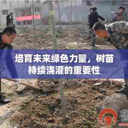 培育未来绿色力量，树苗持续浇灌的重要性