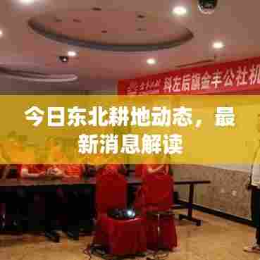 今日东北耕地动态，最新消息解读