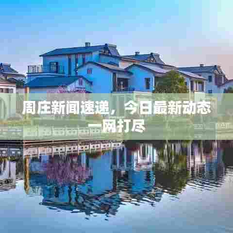 周庄新闻速递，今日最新动态一网打尽