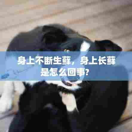 身上反复长藓的原因及解决方法