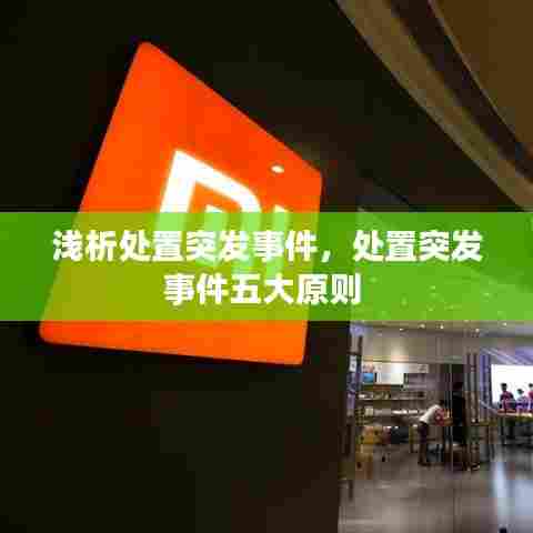 处置突发事件的五大原则详解