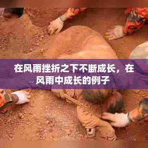 风雨历练成长路，河北铄建管道公司的蜕变之路