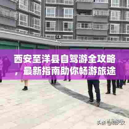 百鸟齐鸣 第7页