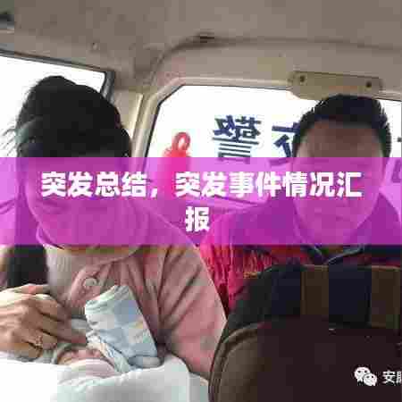 突发总结，突发事件情况汇报 