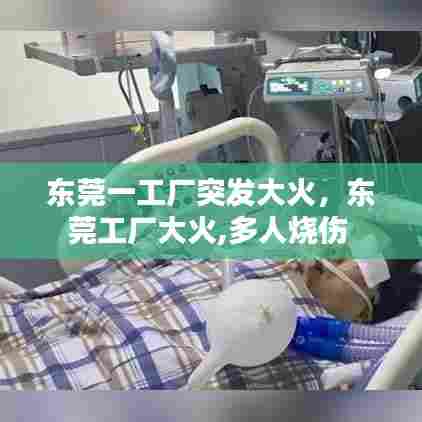 东莞一工厂突发大火，东莞工厂大火,多人烧伤 