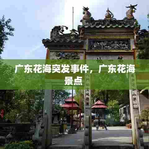 广东花海突发事件，广东花海景点 