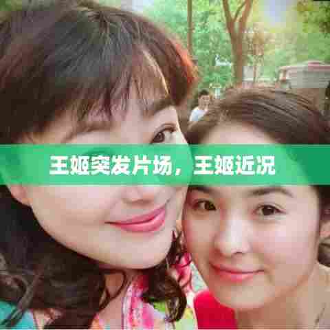 王姬突发片场，王姬近况 