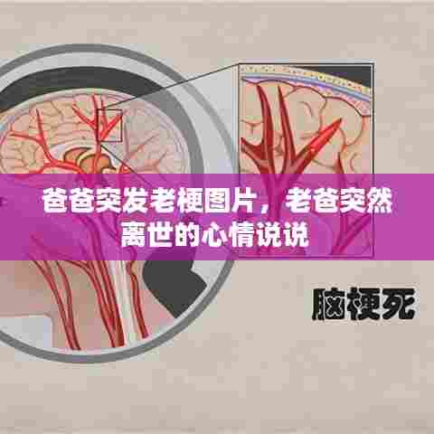 爸爸突发老梗图片，老爸突然离世的心情说说 