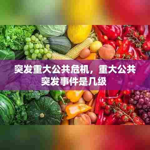 突发重大公共危机，重大公共突发事件是几级 