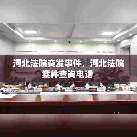 河北法院突发事件，河北法院案件查询电话 