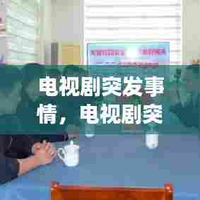 电视剧突发事情，电视剧突发事件哪年拍的 