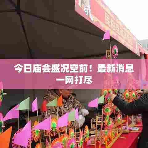 择善而从 第7页