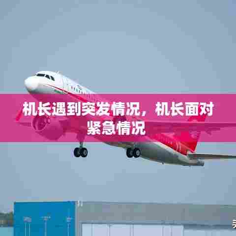 机长遇到突发情况，机长面对紧急情况 