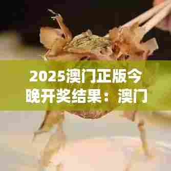 2025澳门正版今晚开奖结果：澳门美食节，今夜揭晓终极美味