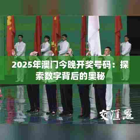 2025年澳门今晚开奖号码：探索数字背后的奥秘
