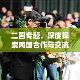 二国专题，深度探索两国合作与交流的新篇章
