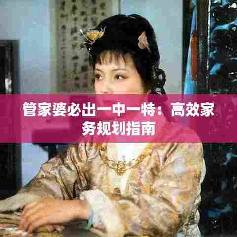 管家婆必出一中一特：高效家务规划指南