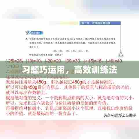 习题巧运用，高效训练法