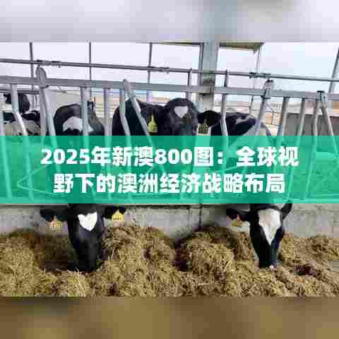 2025年新澳800图：全球视野下的澳洲经济战略布局