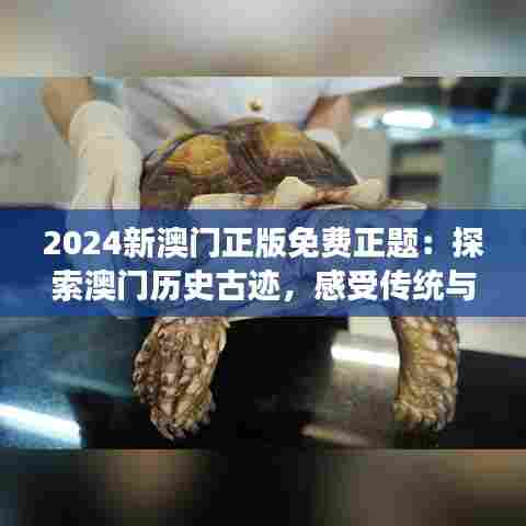 2024新澳门正版免费正题：探索澳门历史古迹，感受传统与现代交织